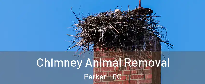  Chimney Animal Removal Parker - CO