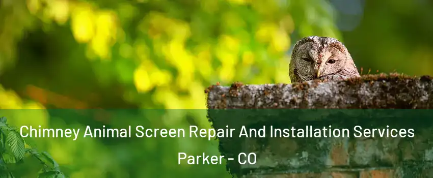  Chimney Animal Screen Repair And Installation Services Parker - CO