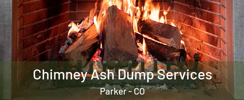  Chimney Ash Dump Services Parker - CO