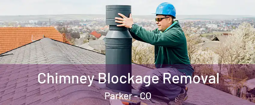  Chimney Blockage Removal Parker - CO