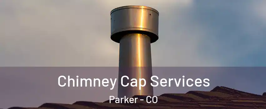  Chimney Cap Services Parker - CO