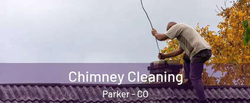  Chimney Cleaning Parker - CO
