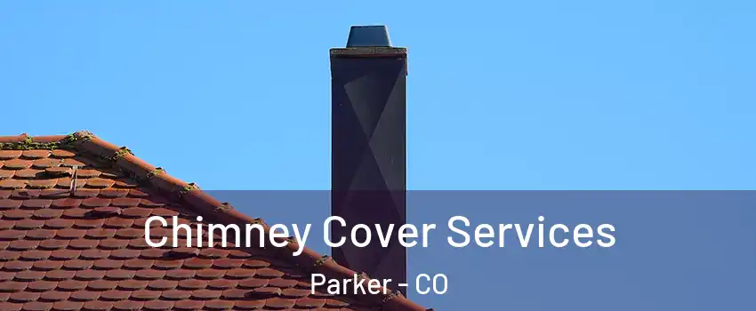  Chimney Cover Services Parker - CO