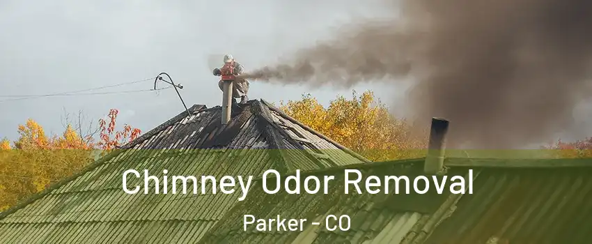 Chimney Odor Removal Parker - CO