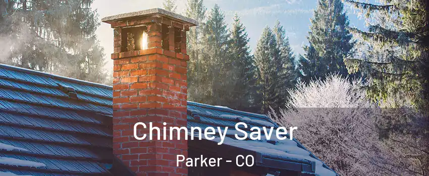  Chimney Saver Parker - CO