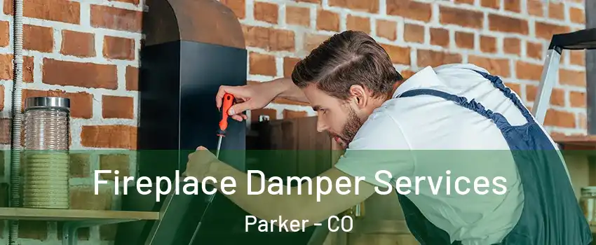  Fireplace Damper Services Parker - CO