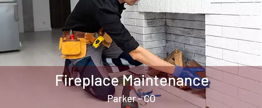 Fireplace Maintenance Parker - CO
