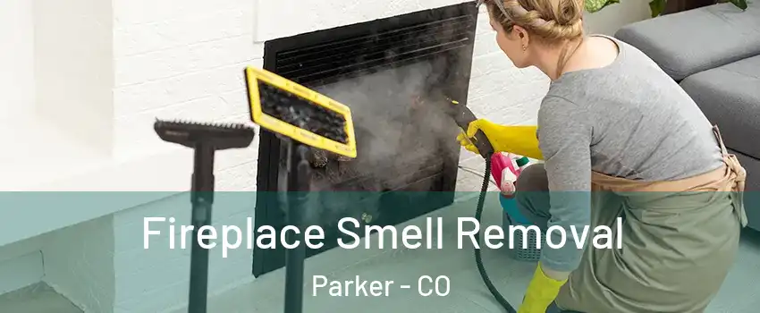  Fireplace Smell Removal Parker - CO