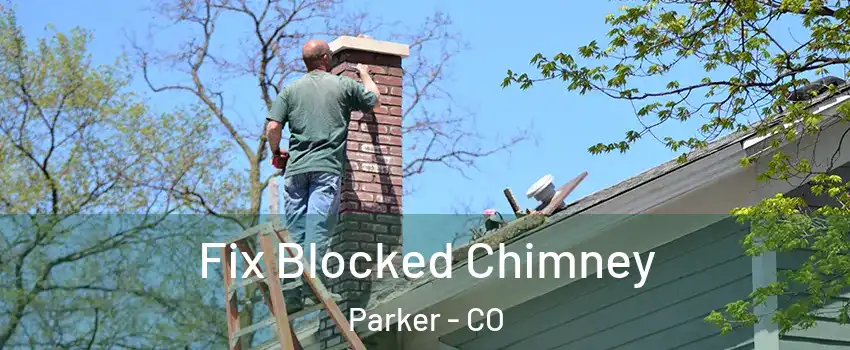  Fix Blocked Chimney Parker - CO