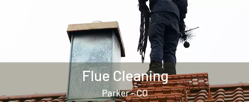 Flue Cleaning Parker - CO