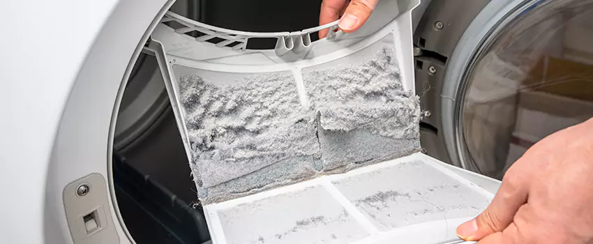 Best Dryer Lint Removal Company in Parker, Colorado