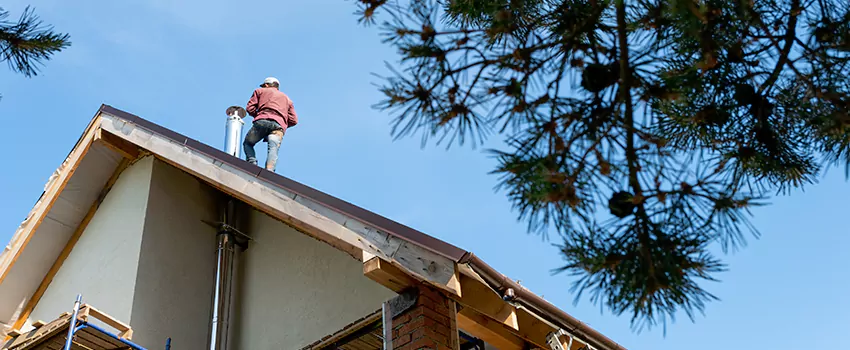 Birds Removal Contractors from Chimney in Parker, CO