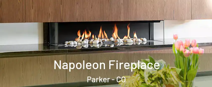  Napoleon Fireplace Parker - CO