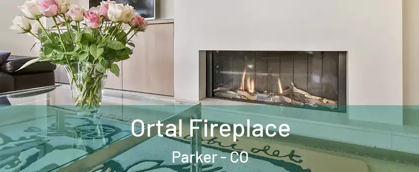  Ortal Fireplace Parker - CO